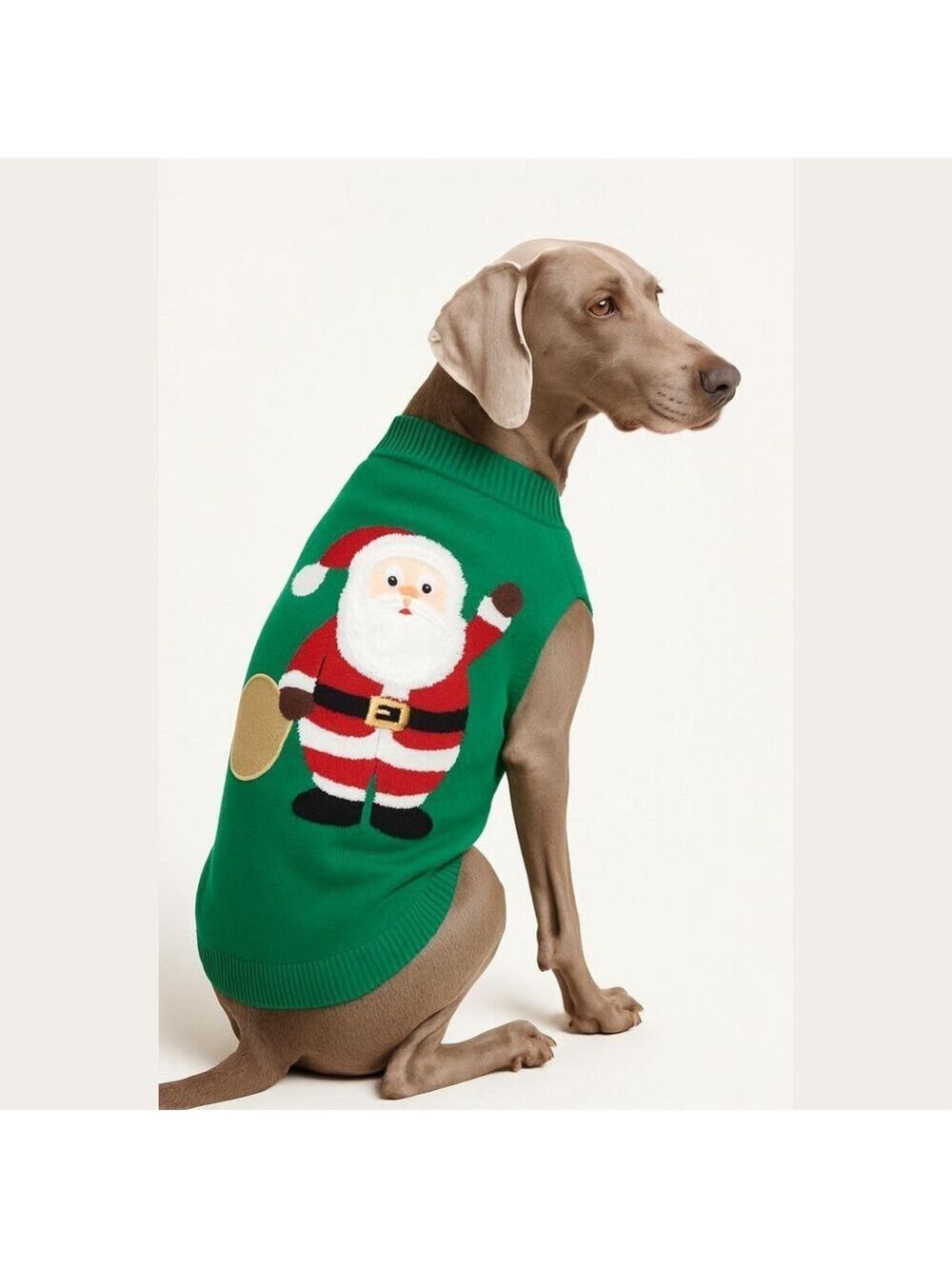 FABDOG Santa sweater size medium